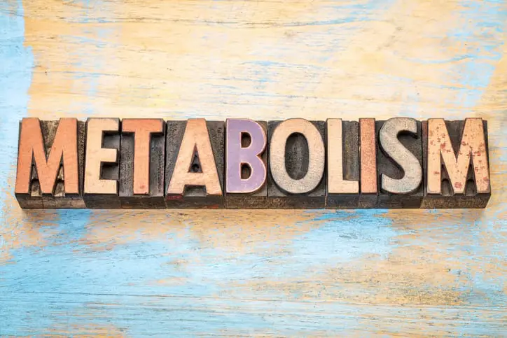 Is Slow Metabolism to Blame for Your Weight Gain?